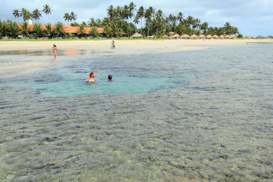 Casa Em Serrambi Com Piscina E Terraco Amplo Villa Pôrto das Galinhas Exteriör bild